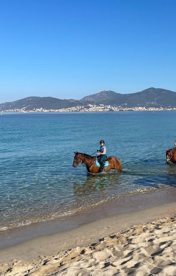 La Ste * Porticcio (Corsica)